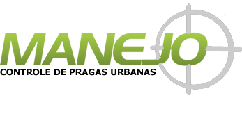 logo 2b